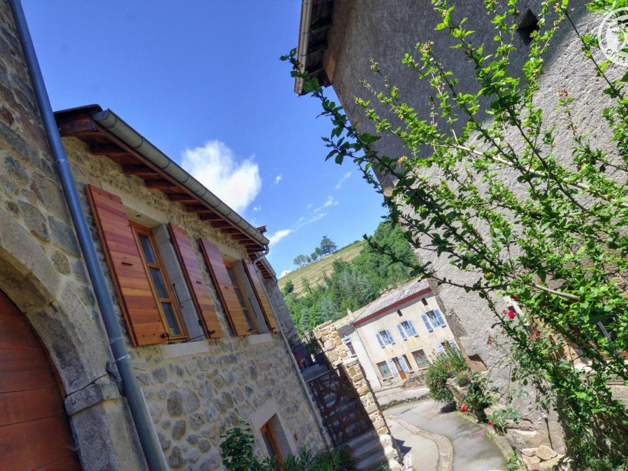 Gite De Charme Avec 2 Terrasses, Au Coeur Du Parc Du Pilat, Confortable Et Equipe - Fr-1-496-40 Malleval Zewnętrze zdjęcie