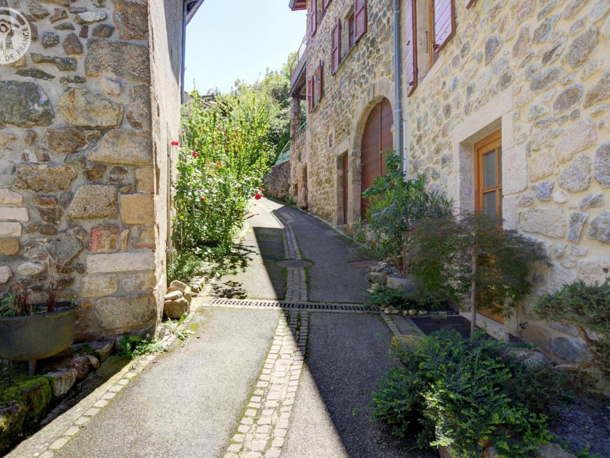 Gite De Charme Avec 2 Terrasses, Au Coeur Du Parc Du Pilat, Confortable Et Equipe - Fr-1-496-40 Malleval Zewnętrze zdjęcie